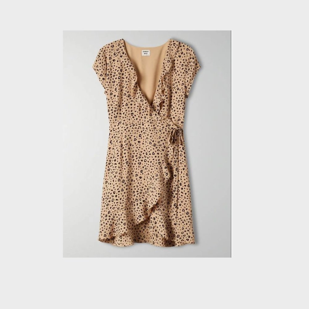 Aritzia Sunday Best  Savoy Dress - Picture 2 of 7